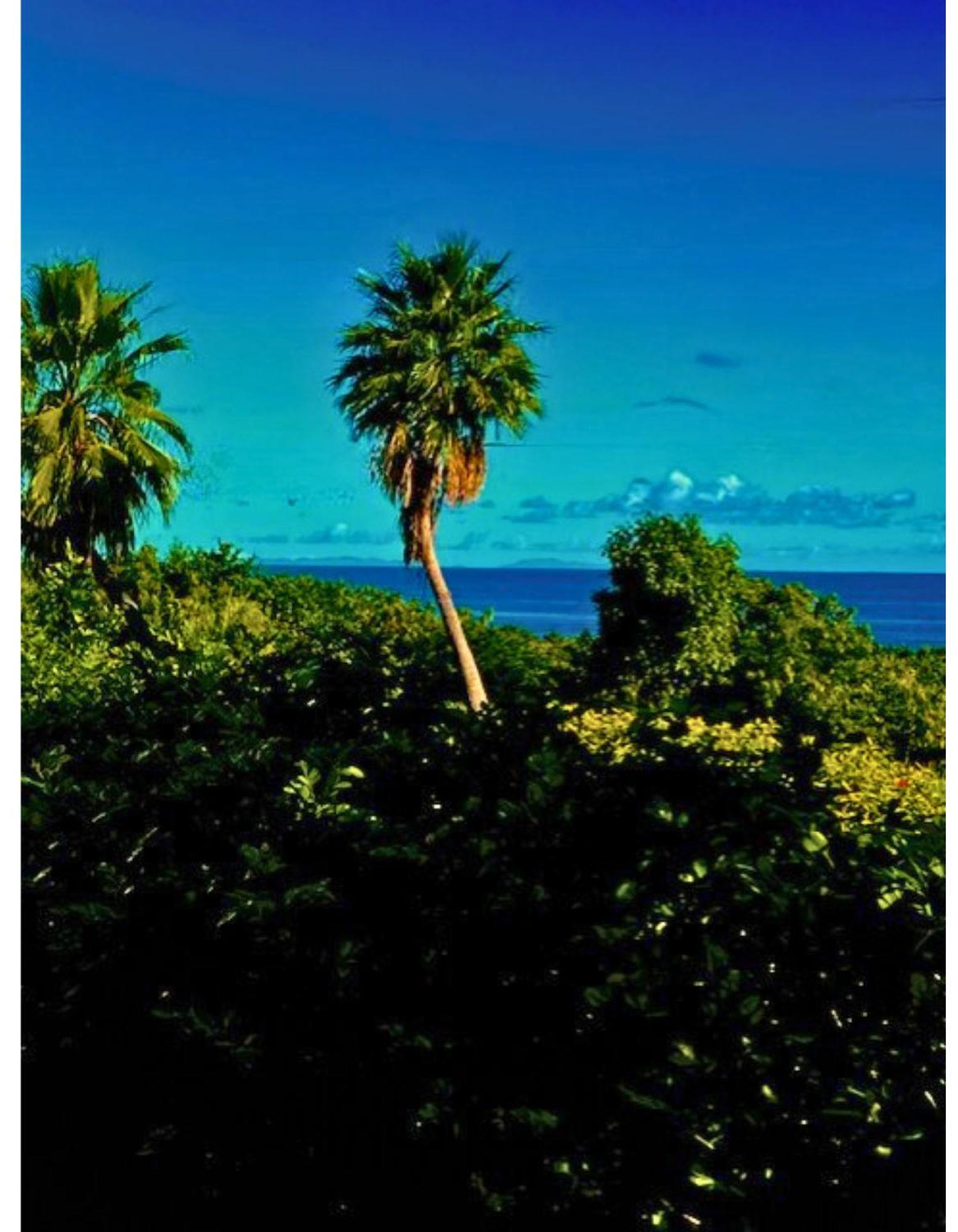 The Cove Hotel St Croix La Grande Princesse 外观 照片